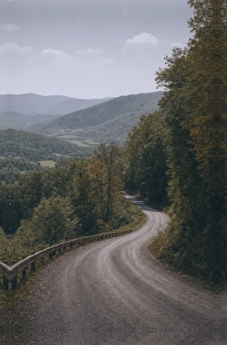 Quiet gravel road descending through trees toward a Southwest Virginia valley